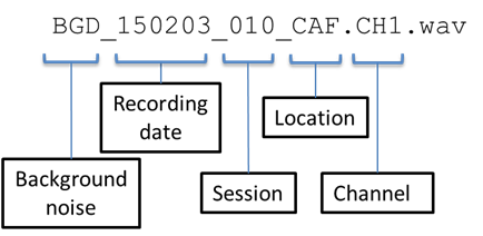 Naming convention of background noise WAV file