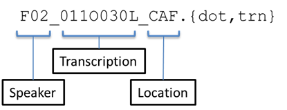 Naming convention of transcription file